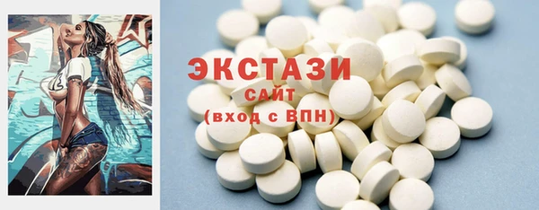 молекула духа Снежногорск