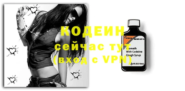 ешки Снежинск