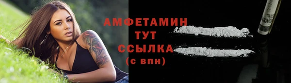 молекула духа Снежногорск