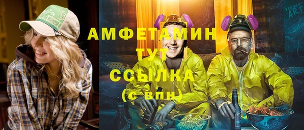 молекула духа Снежногорск