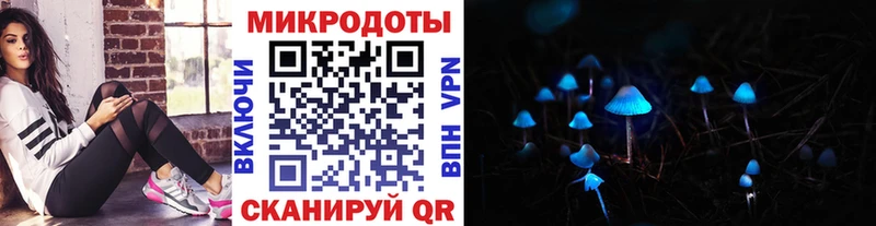 магазин продажи наркотиков  Староминская  hydra как войти  Галлюциногенные грибы Psilocybine cubensis 